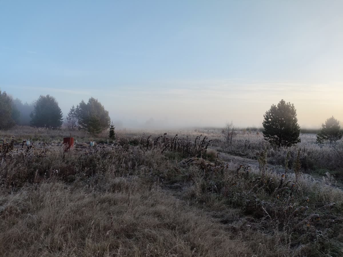 A misty autumn morning over the fields of the settlement