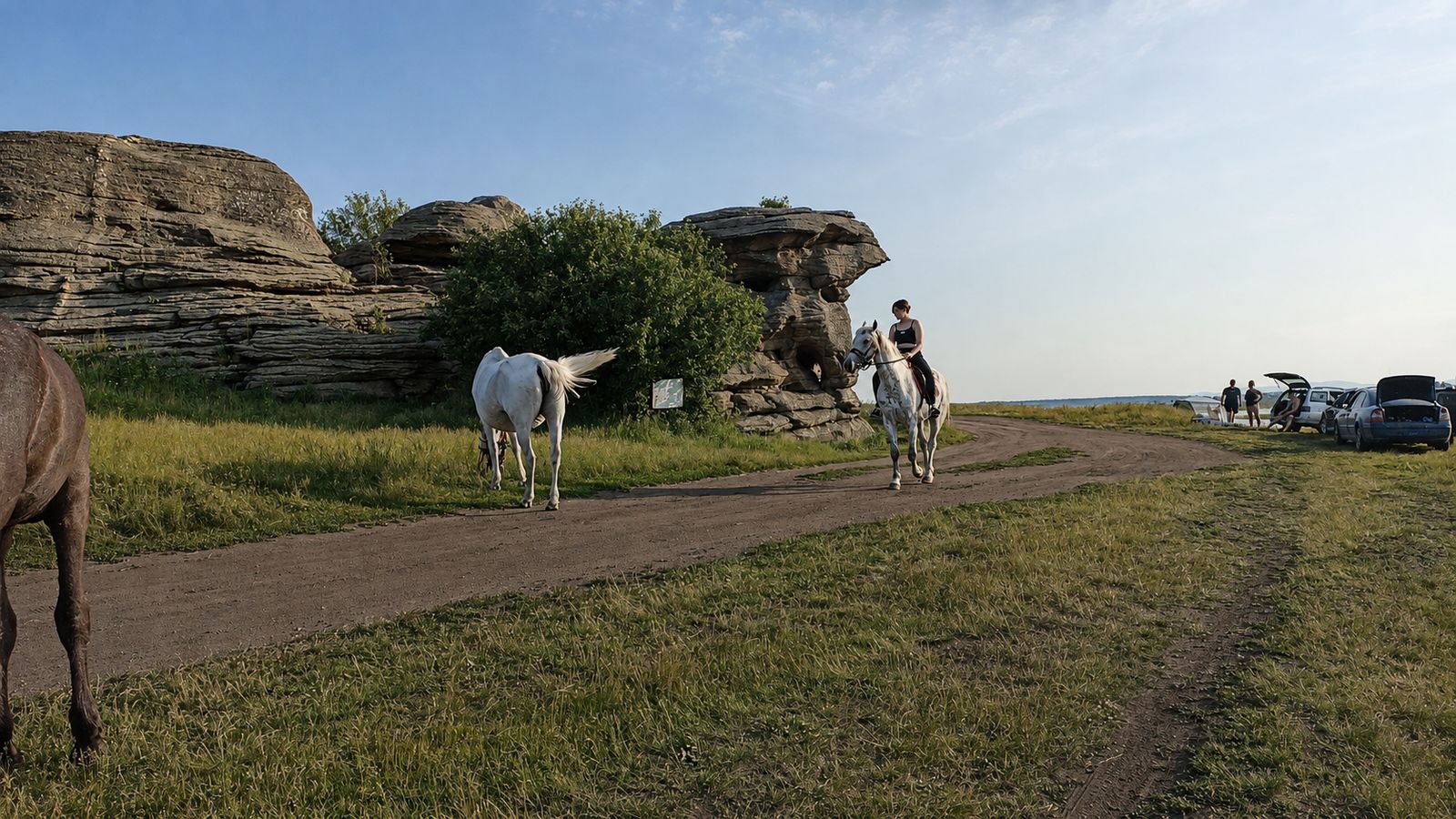 Конные прогулки